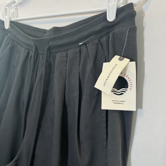 Anthropologie Daily Practice Pants Size Large Gray Pull On Pleated Women NWT - Picture 4 of 14